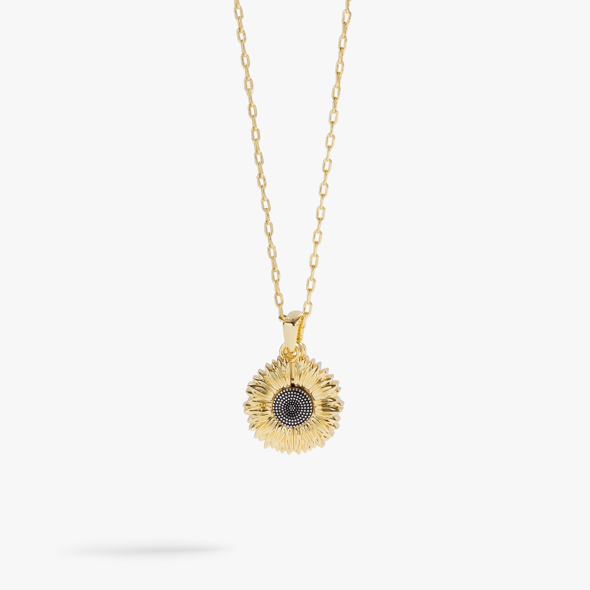 Sunflower &