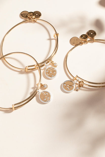 Capricorn Zodiac Charm Bangle