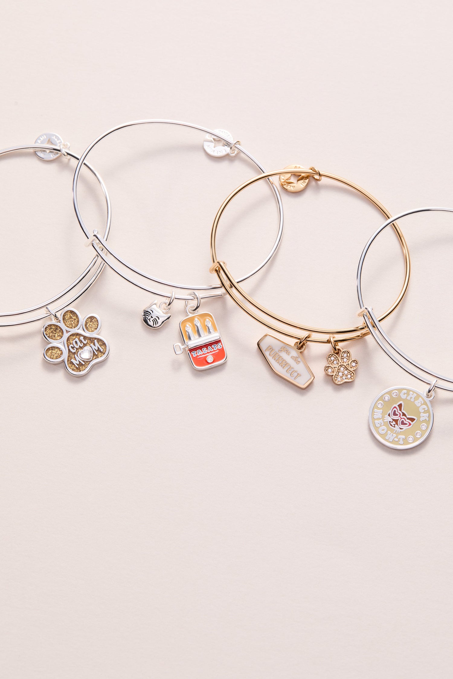 Cat &amp; Sardine Tin Duo Charm Bangle
