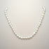 Freshwater Pearl Necklace Various Colors