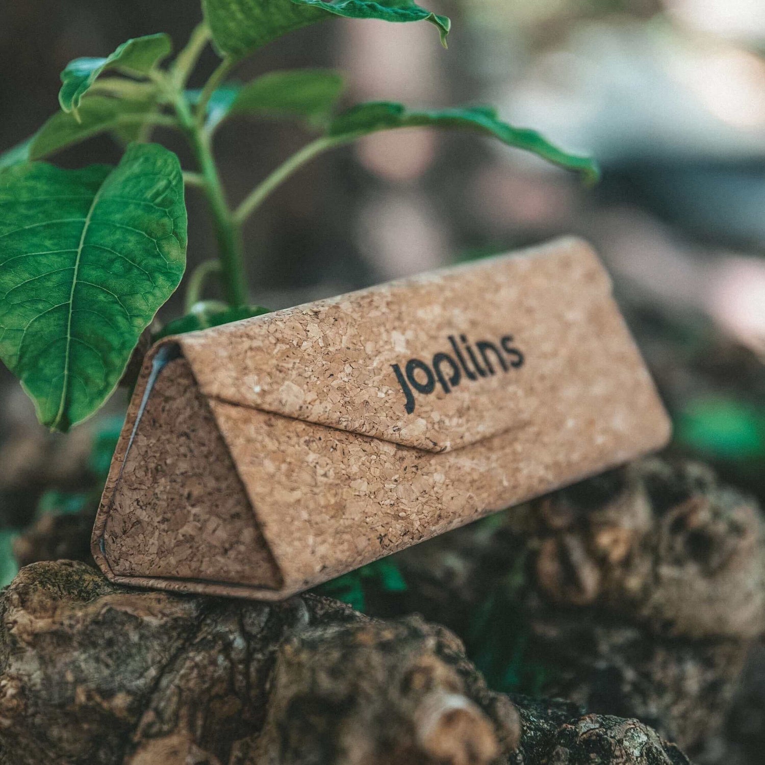 Fold &amp; Go - Tri-fold Sunglasses Cork Case