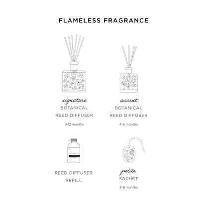 Accent Botanical Reed Diffuser - Spicy Apple