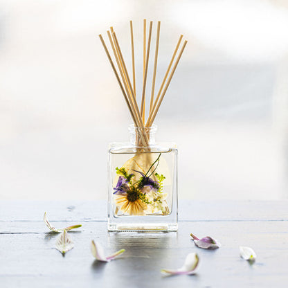 Accent Botanical Reed Diffuser - Vanilla Rain