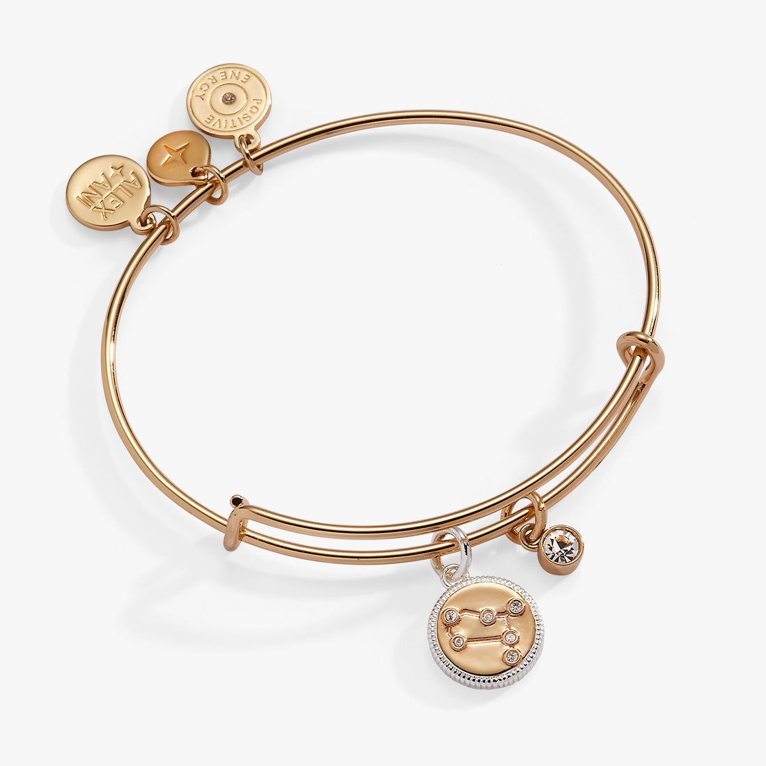 Gemini Zodiac Charm Bangle