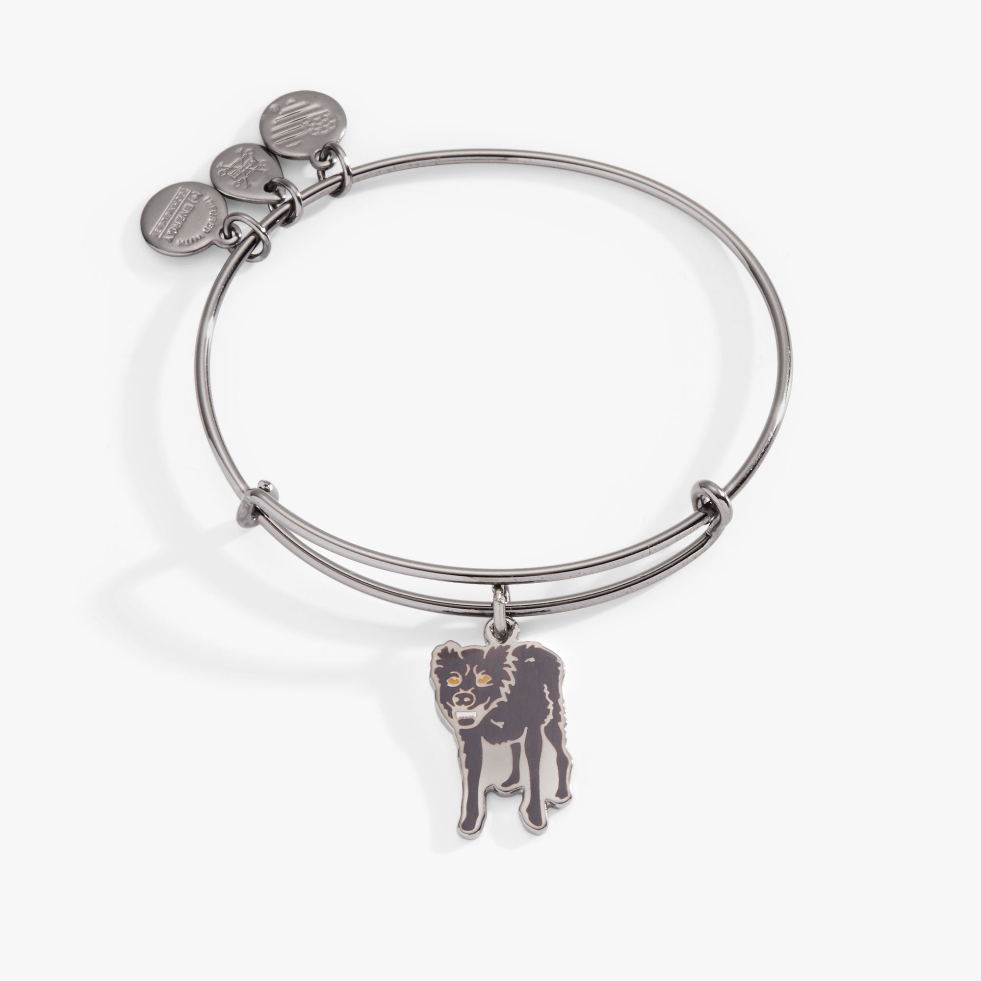 Harry Potter™ Sirius Black Charm Bangle Bracelet