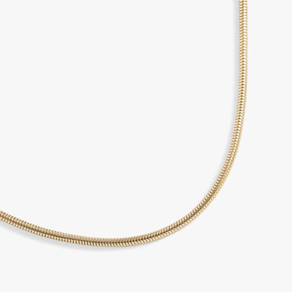 Round Herringbone Charm &amp; Layering Necklace