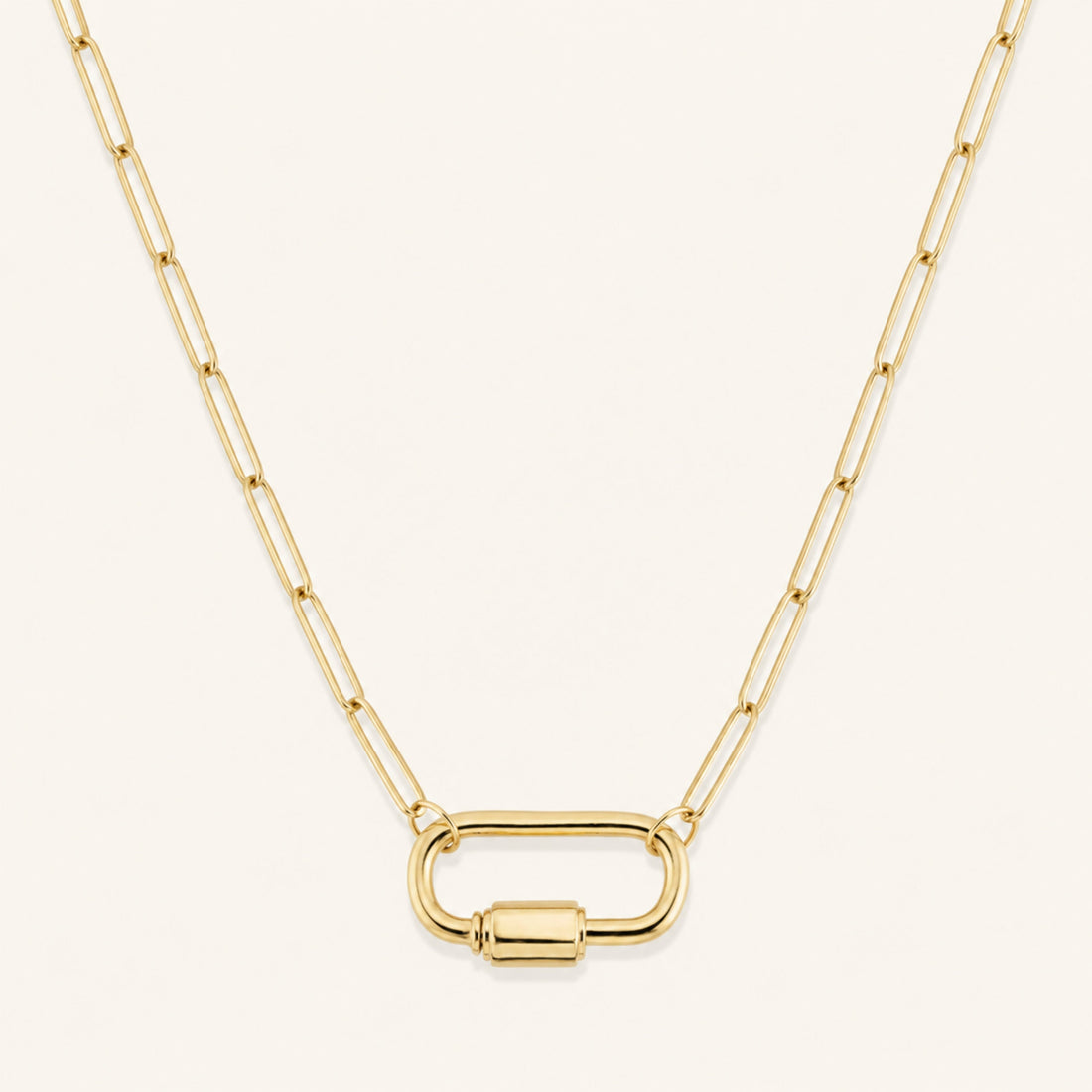 Carabiner Necklace