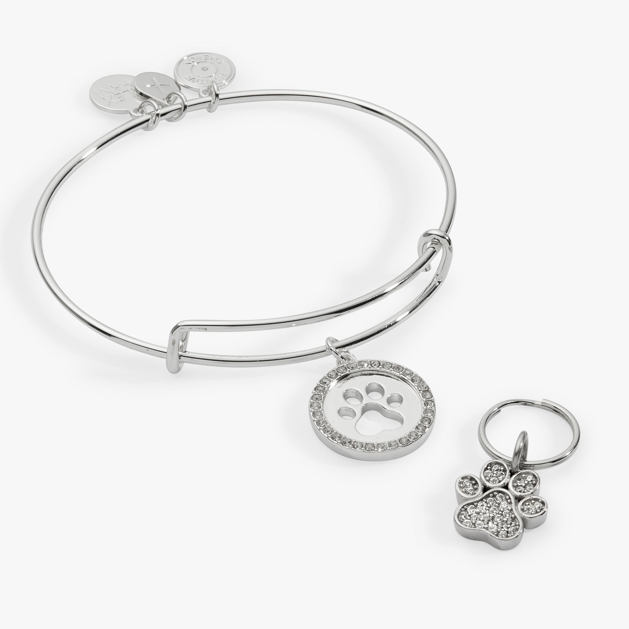 Paw Print Bangle &amp; Pet Collar Charm Set of 2
