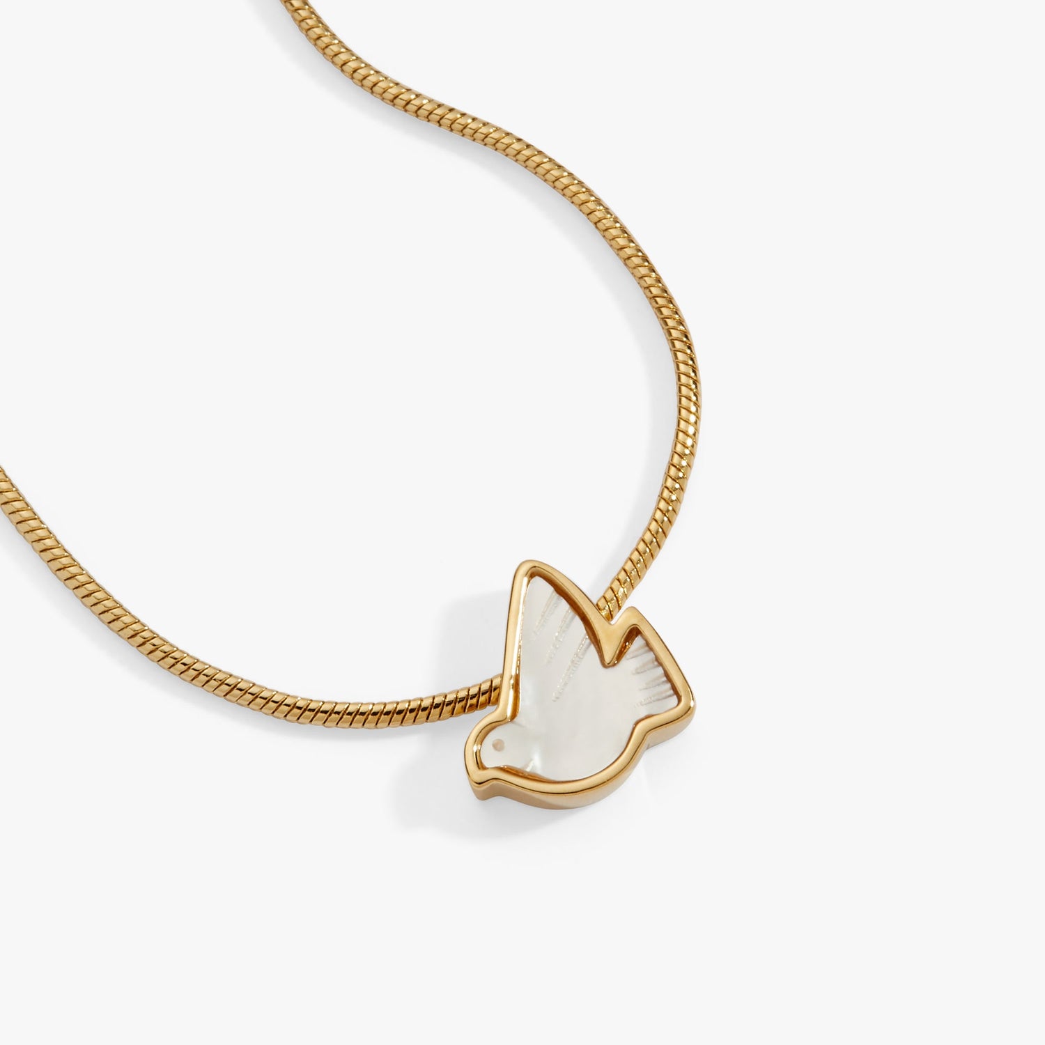 Pearlized Dove &