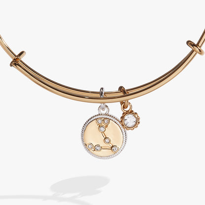 Pisces Zodiac Charm Bangle