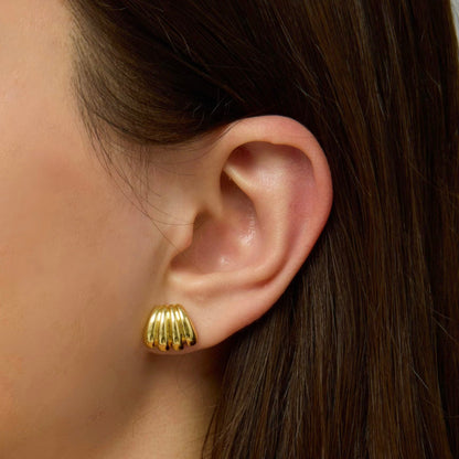 Gold Filled Scallop Earrings