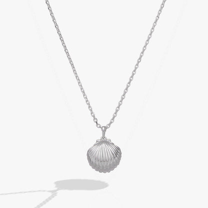 Salt + Sea &