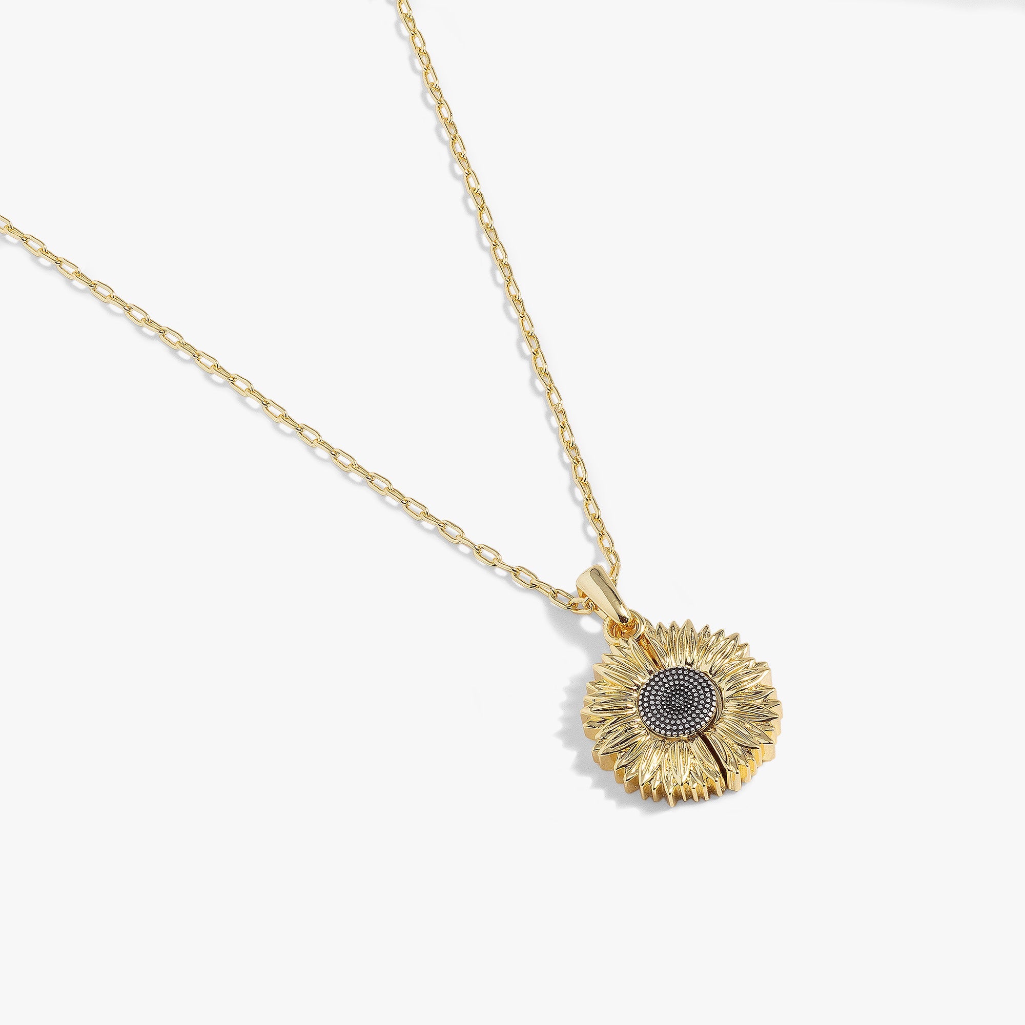 Sunflower &